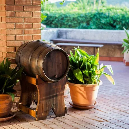 Country house Sogno Siciliano Turismo Rurale *