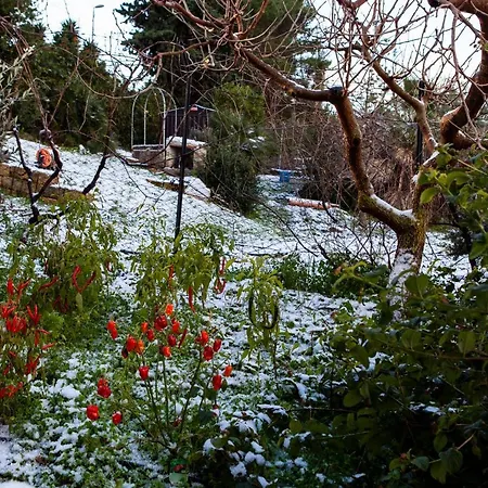 Casa di campagna Sogno Siciliano Turismo Rurale *